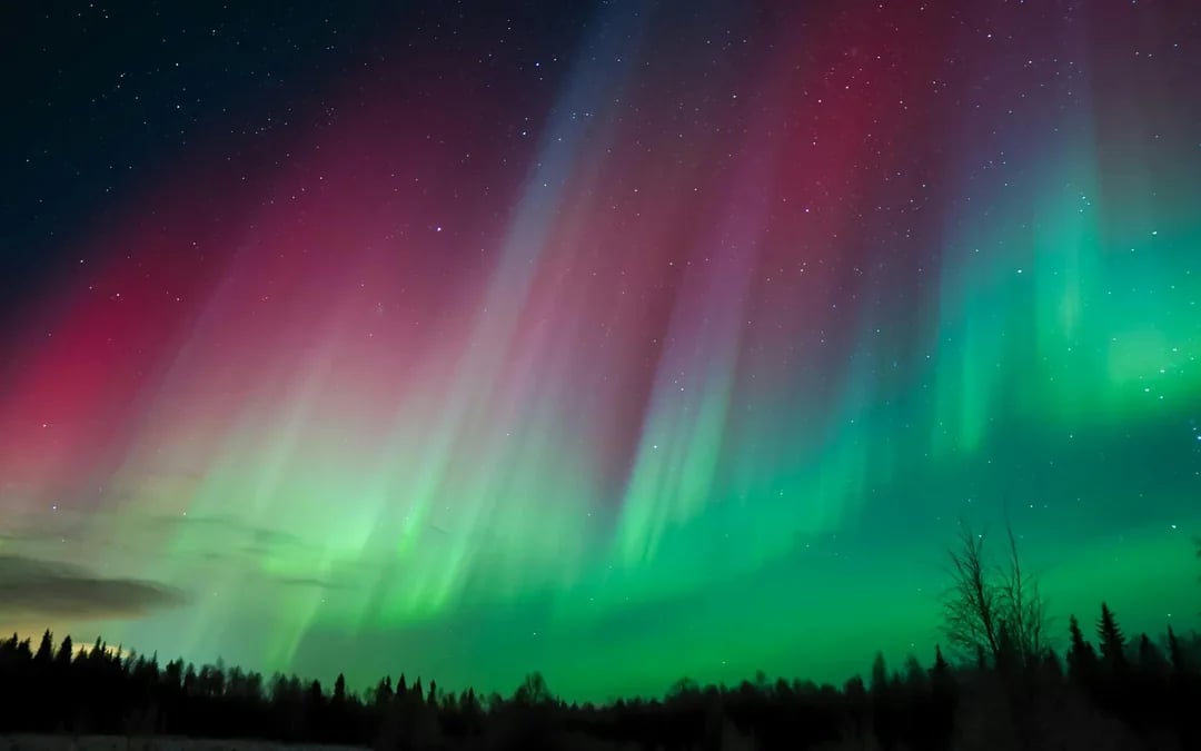 Levi: Northern Lights Chase Tour Image 11