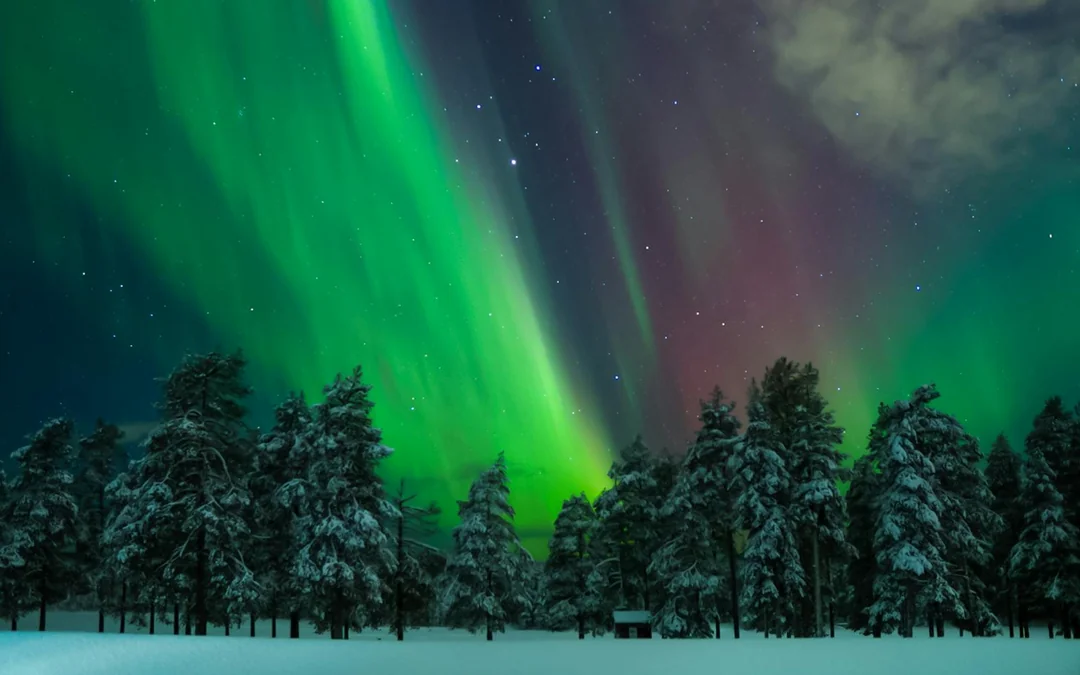 Levi: Northern Lights Chase Tour Image 5