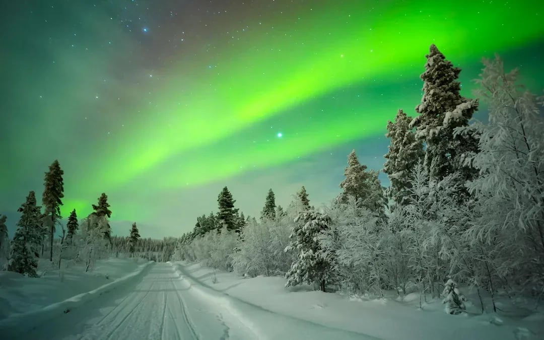 Levi: Northern Lights Chase Tour Image 7