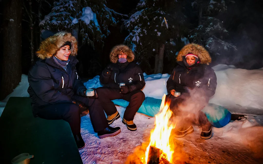  Levi: Northern Lights Snowmobile Tour
 Image 5