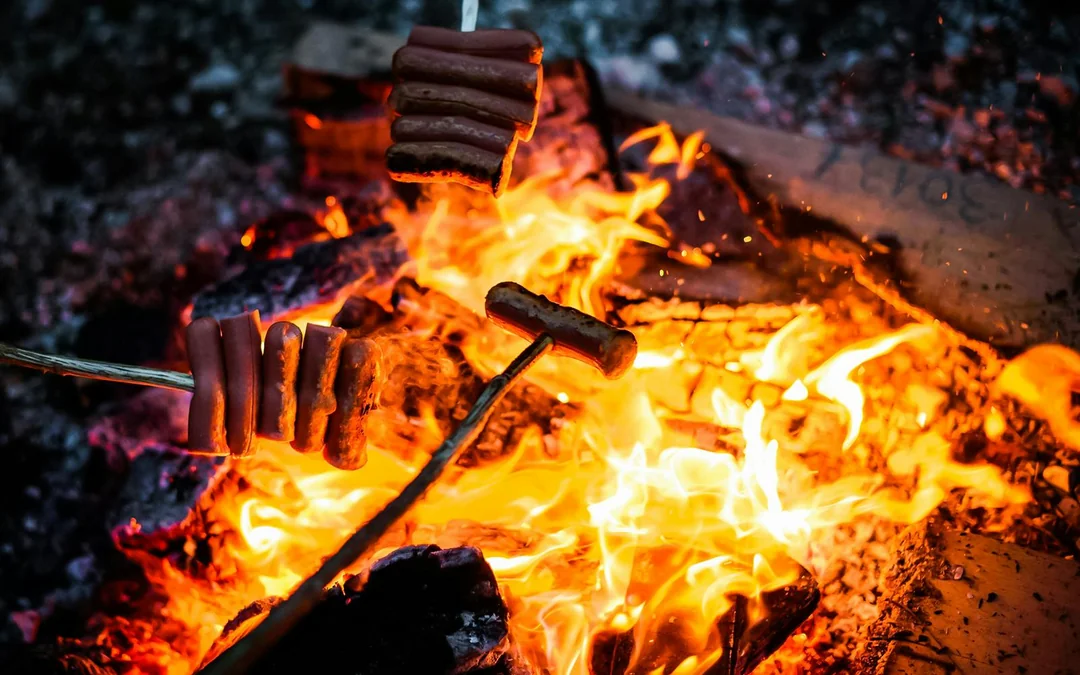 Levi: Northern Lights with Campfire & Barbecue Image 3