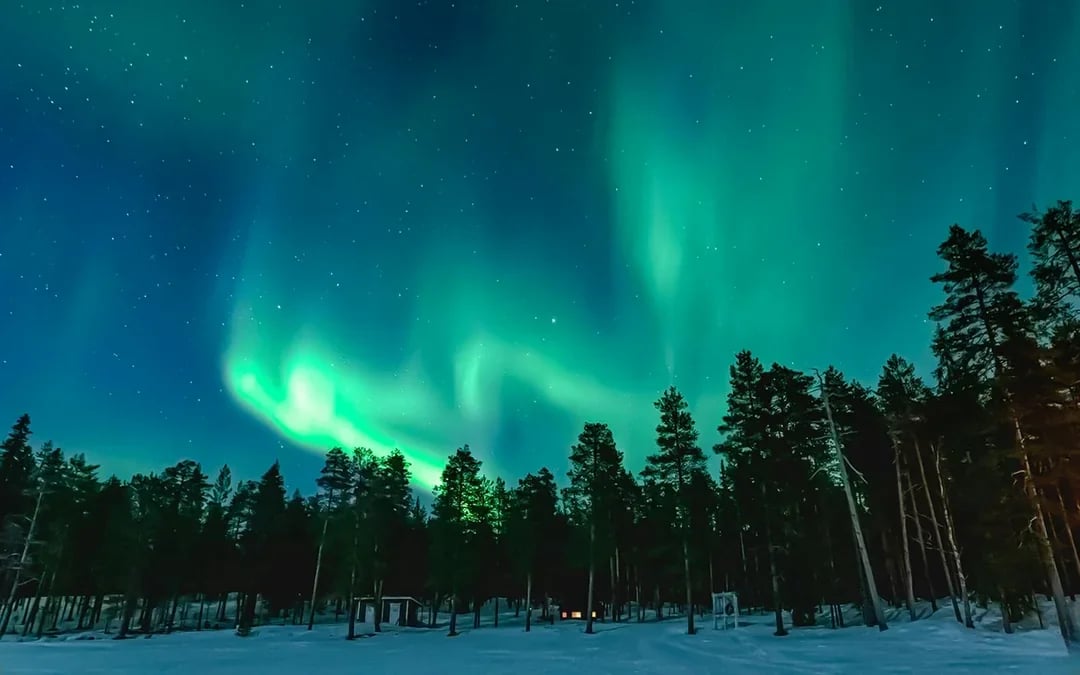 Levi: Northern Lights with Campfire & Barbecue Image 8