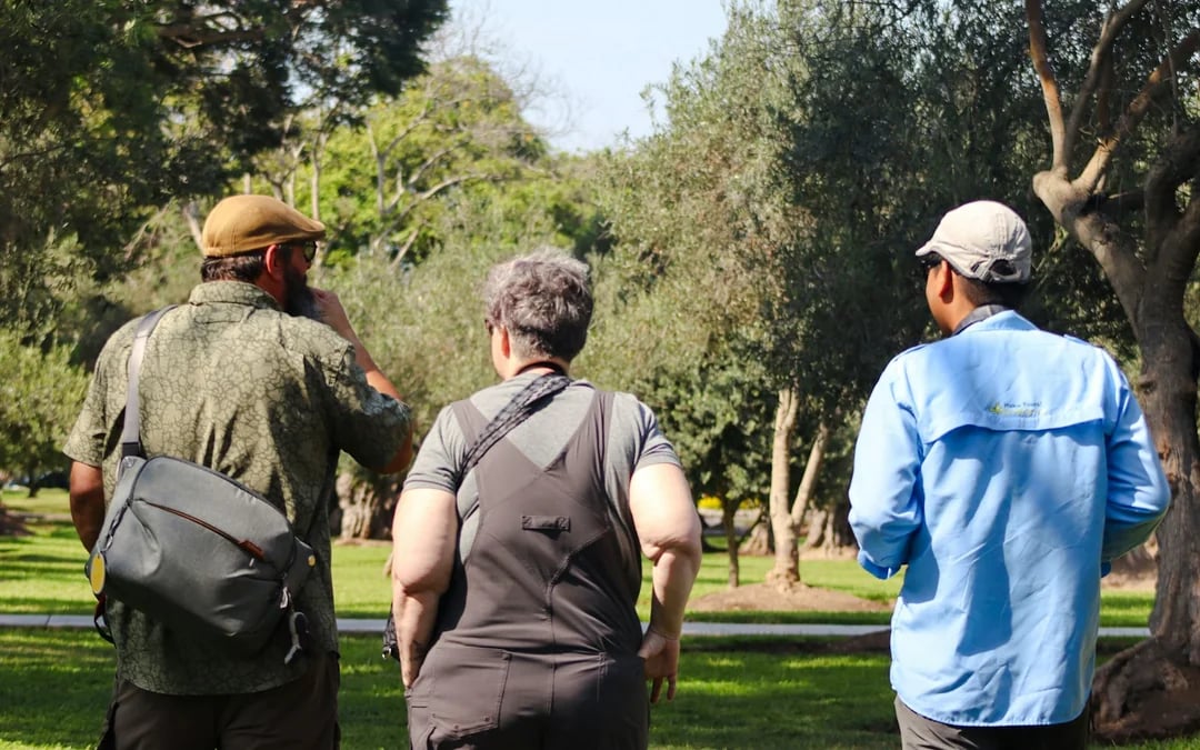 Lima Birdwatching and Urban Parks Guided Tour Image 4