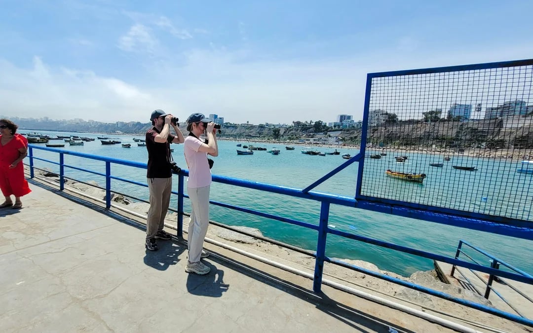 Lima Birdwatching and Urban Parks Guided Tour Image 5