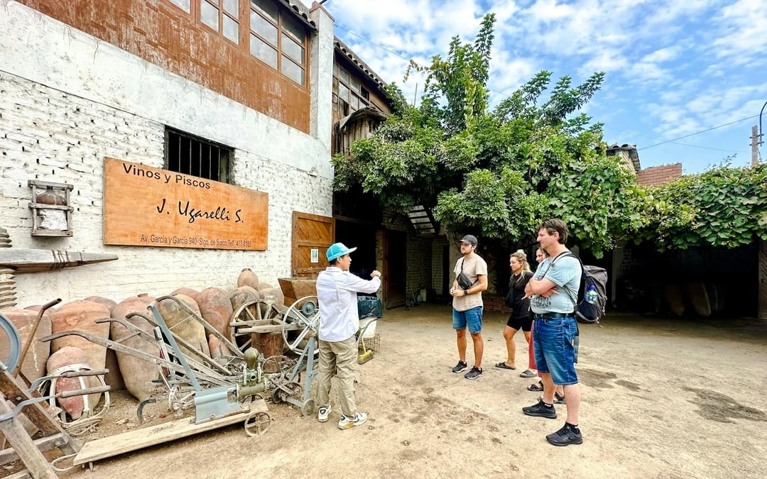 Lima Culinary History and Local Markets Food Tour with Vineyard Visit Image 2