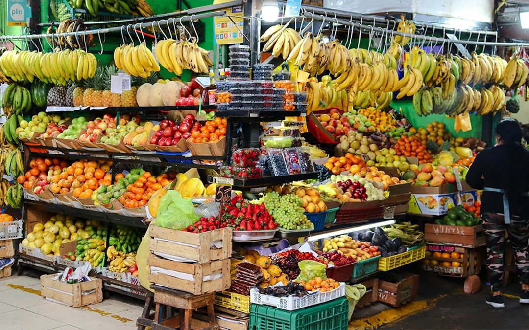 Lima Culinary History and Local Markets Food Tour with Vineyard Visit Image 6