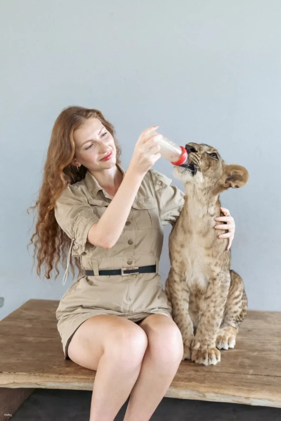 Lion Land Phuket Admission Ticket | Thailand