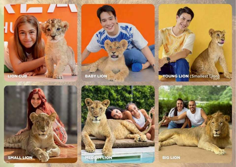Lion Land Phuket Admission Ticket | Thailand