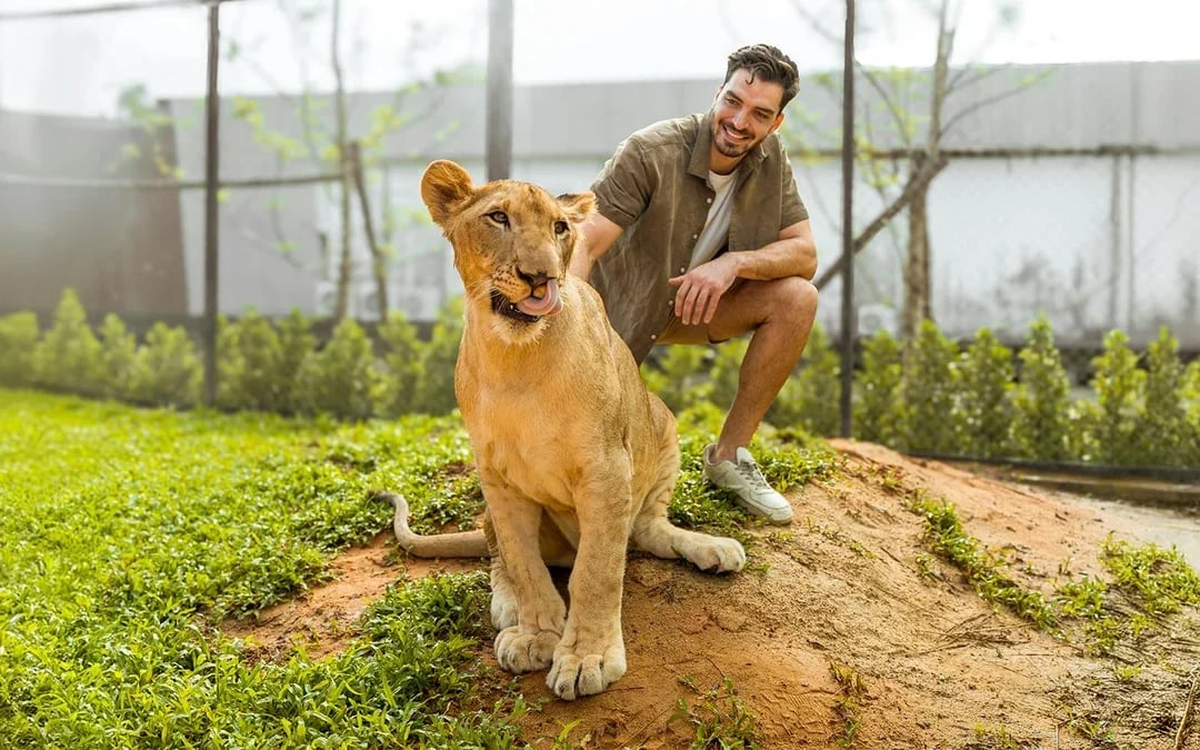 Lion Land Phuket Tickets Image 1