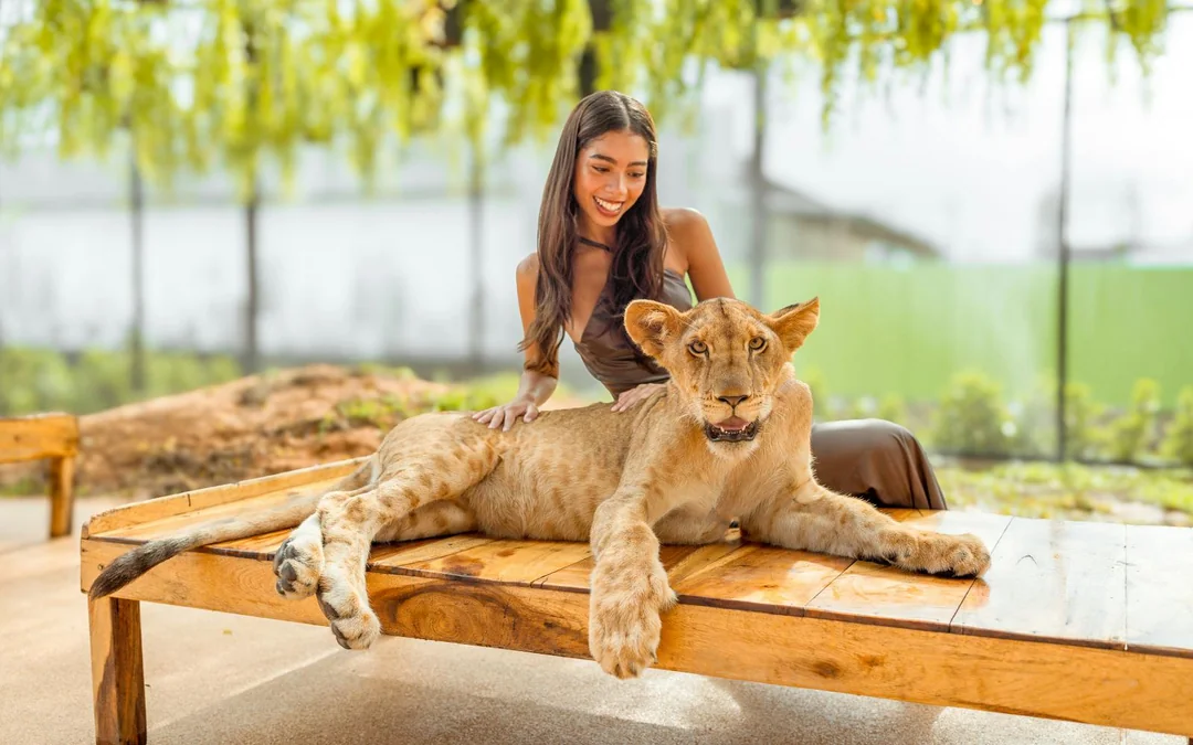 Lion Land Phuket Tickets Image 2