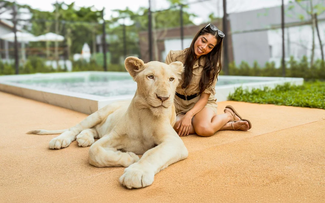 Lion Land Phuket Tickets Image 3