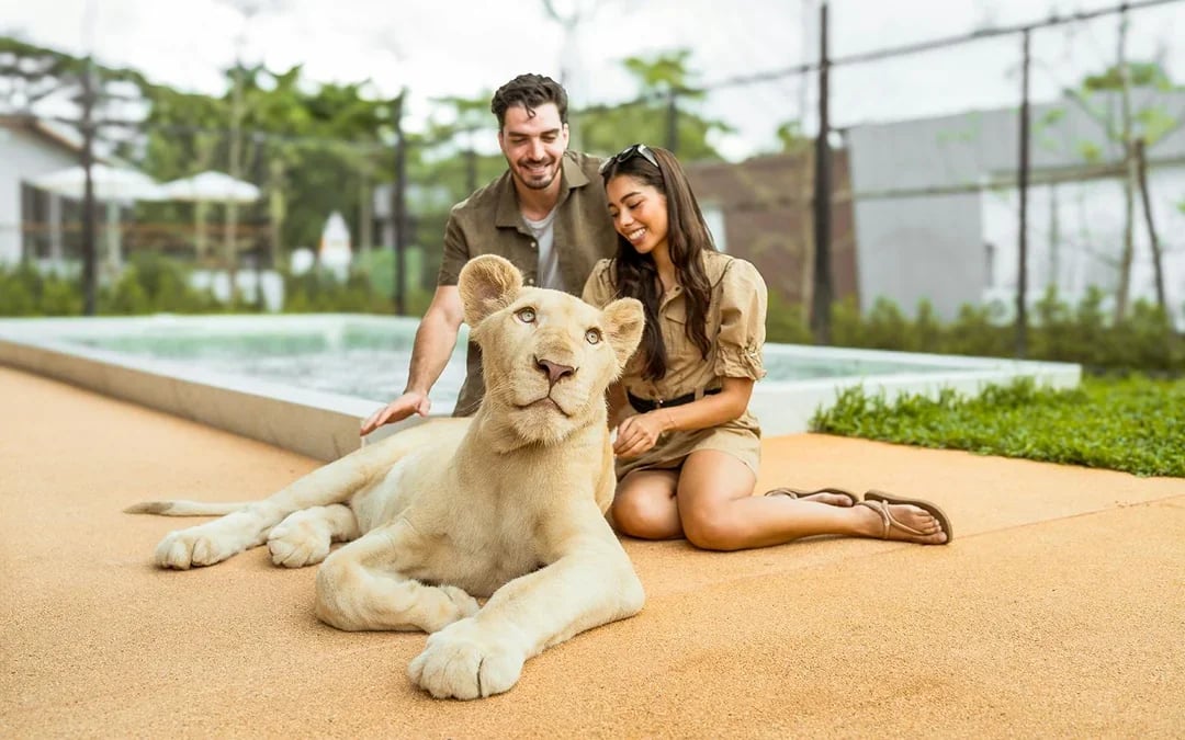 Lion Land Phuket Tickets Image 7