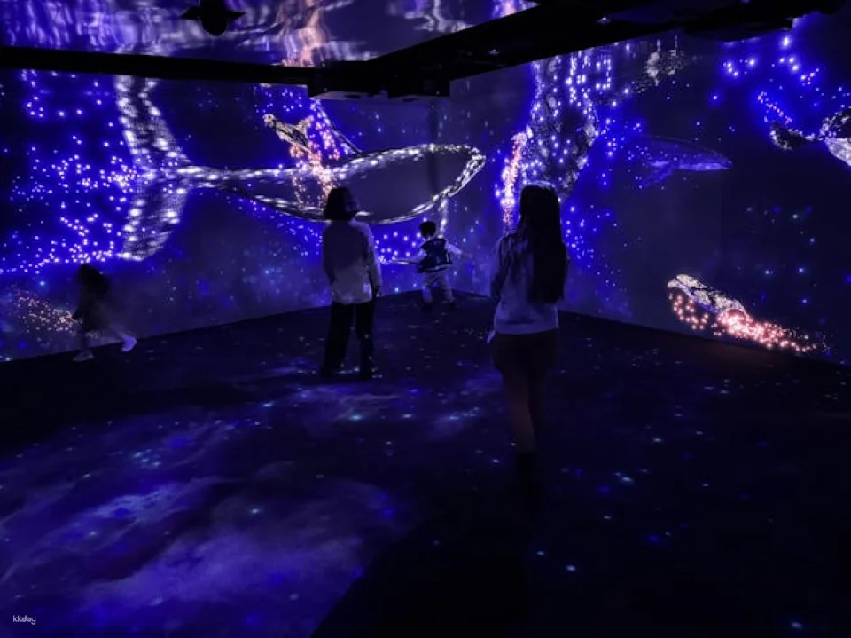 Lisbon Oceanarium entrance tickets
