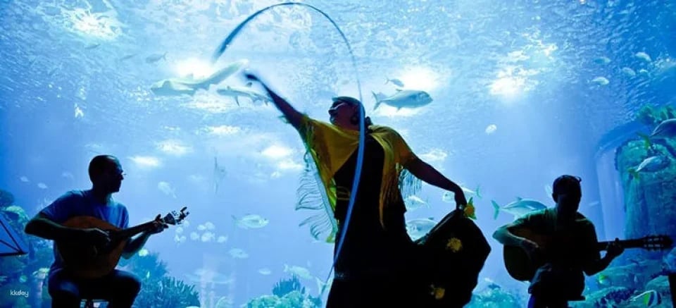 Lisbon Oceanarium entrance tickets