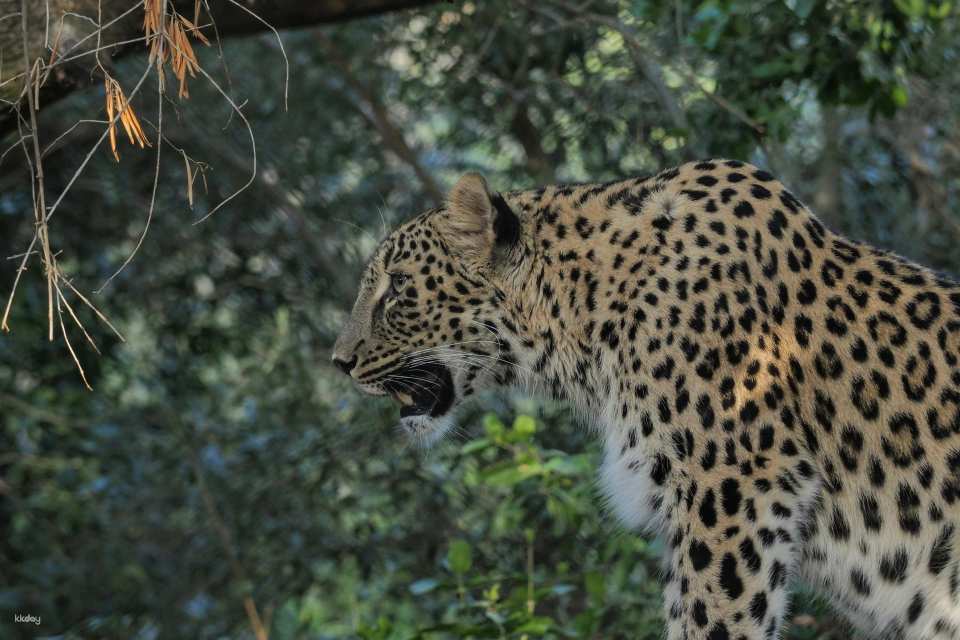 Lisbon Zoo Fast Track Ticket｜Portugal