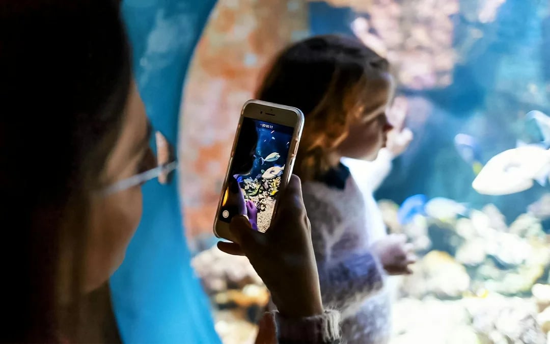 Livorno Aquarium Tickets: A Sea of ​​Discoveries Image 4