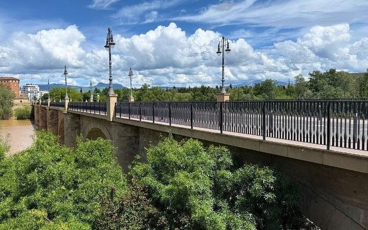Logroño Self-Guided Museum Tour via Mobile App Image 8