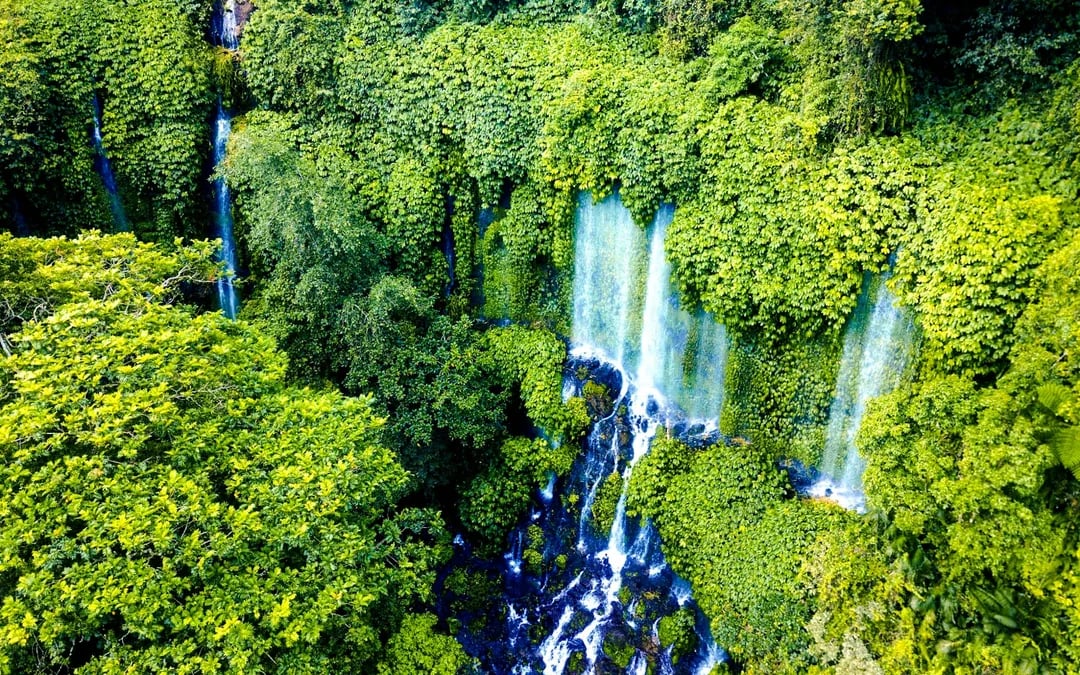 Lombok Private Day Trip: 4 Waterfalls, Rice Fields and Jungle Hike with Transfers Image 3
