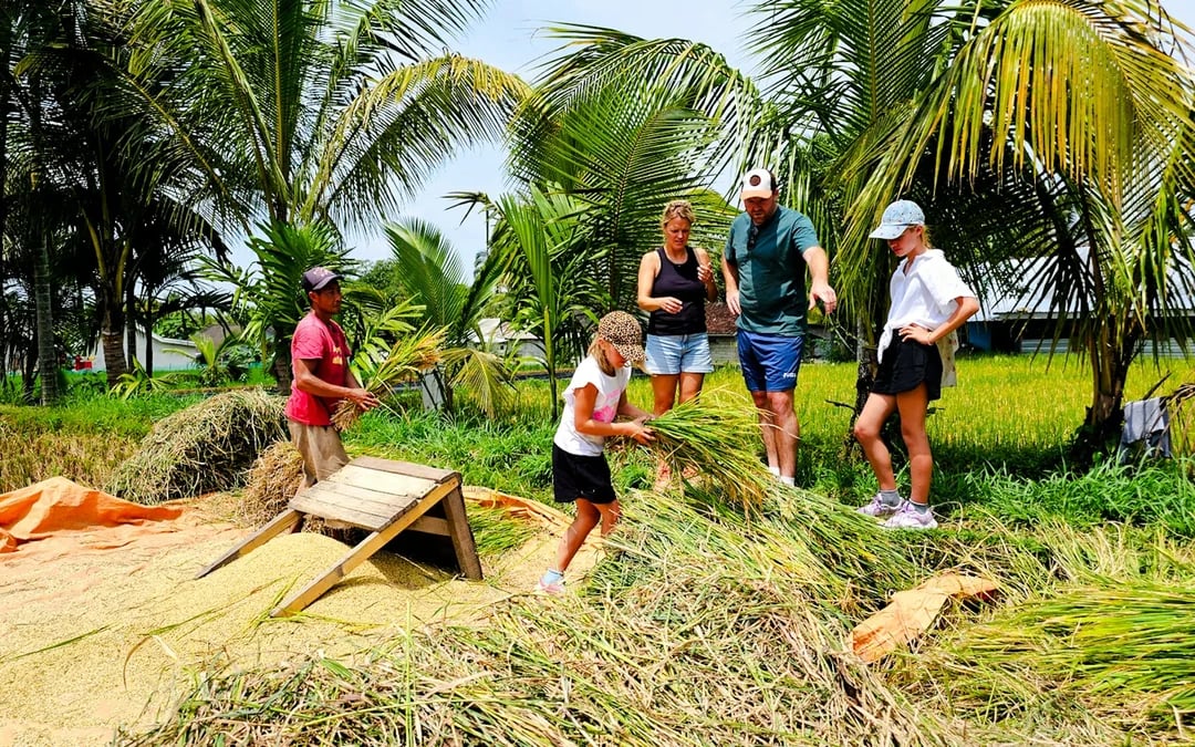 Lombok Private Day Trip: 4 Waterfalls, Rice Fields and Jungle Hike with Transfers Image 7