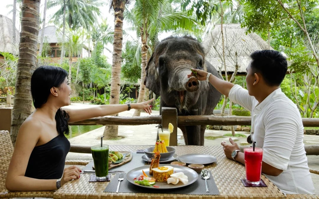 Lombok Wildlife Park Tickets with Elephant Bath Experience Image 2