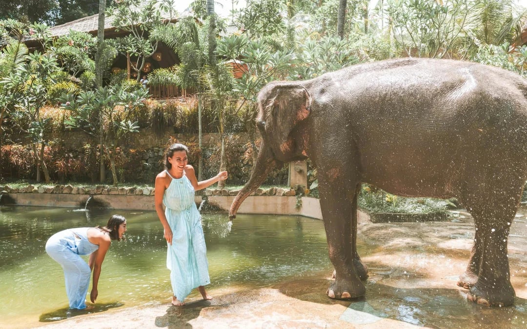 Lombok Wildlife Park Tickets with Elephant Bath Experience Image 3