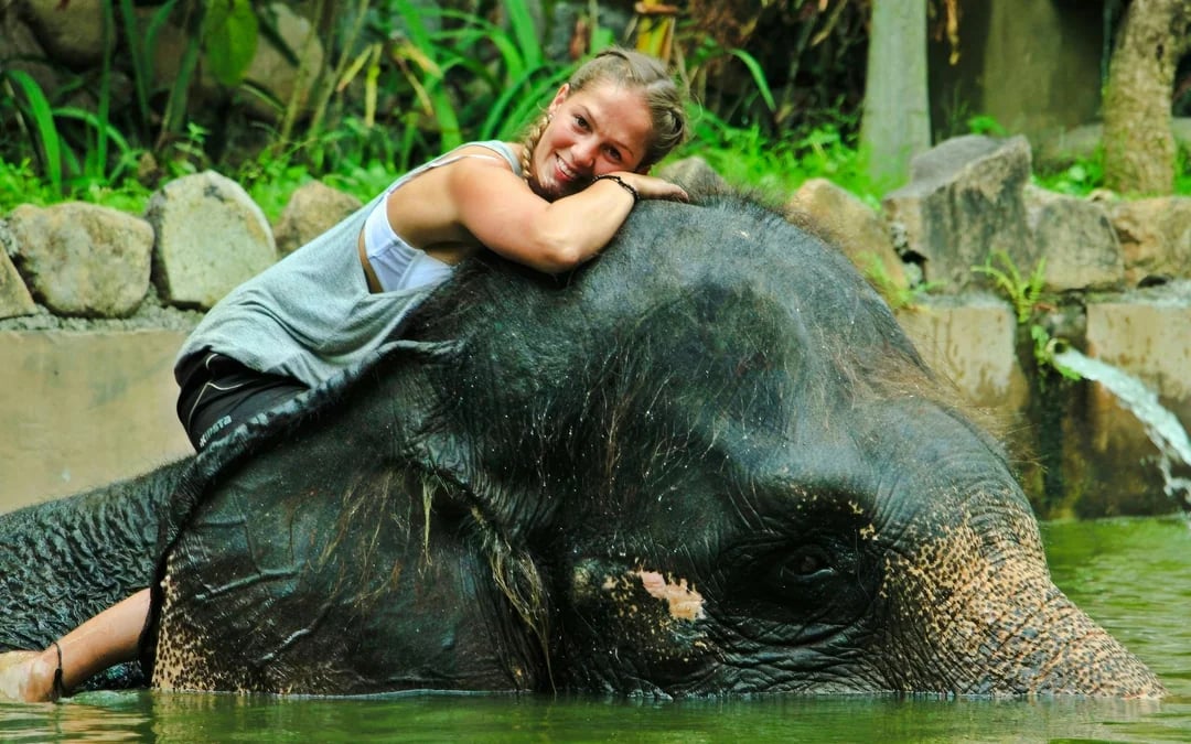 Lombok Wildlife Park Tickets with Elephant Bath Experience Image 8
