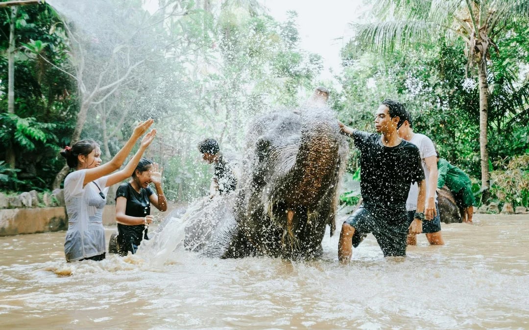 Lombok Wildlife Park Tickets with Optional Lunch Image 6