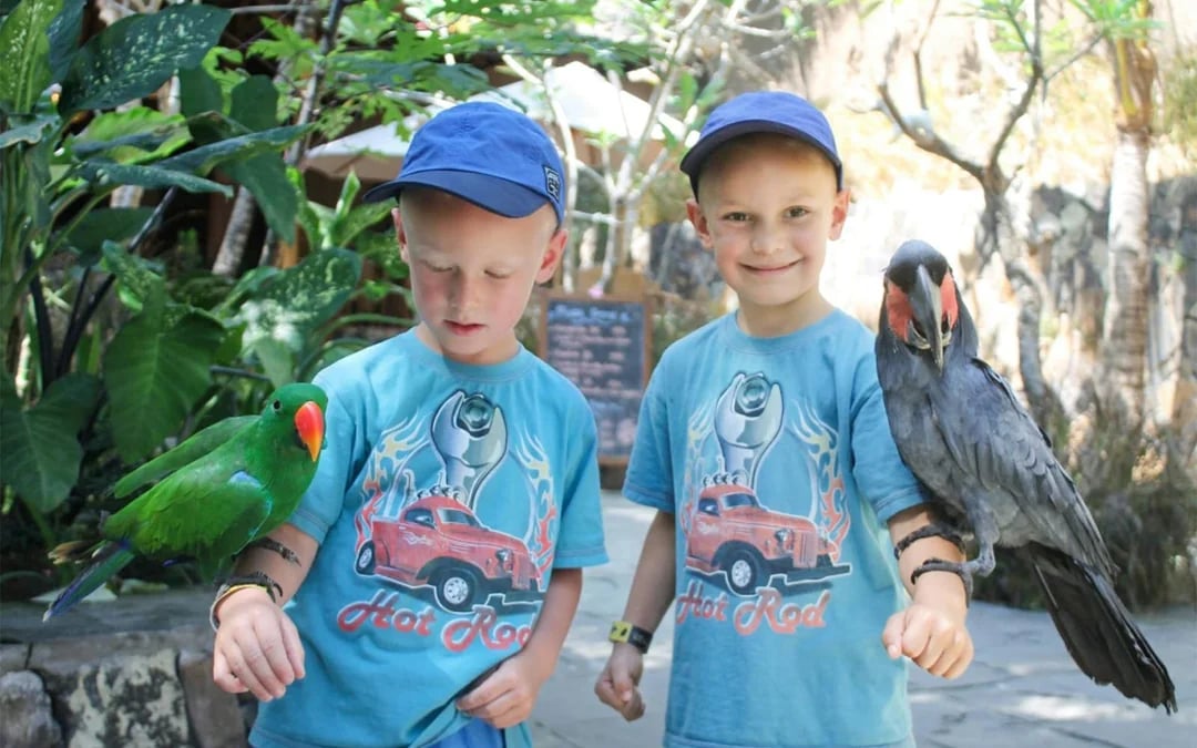 Lombok Wildlife Park Tickets with Optional Lunch Image 7