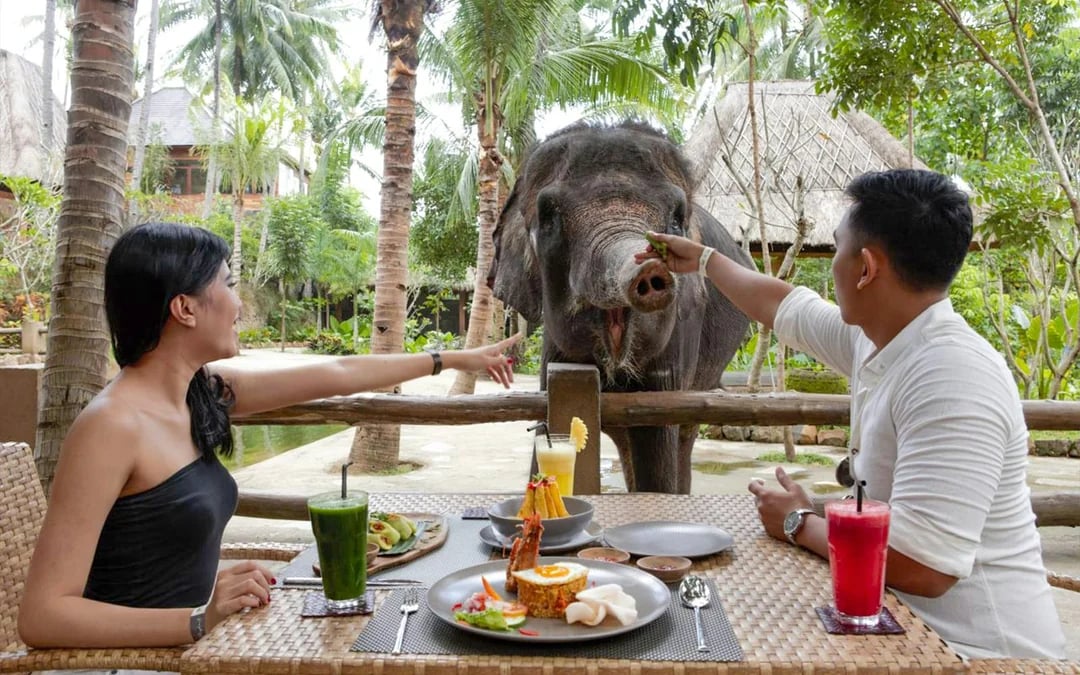 Lombok Wildlife Park Tickets with Optional Lunch Image 8