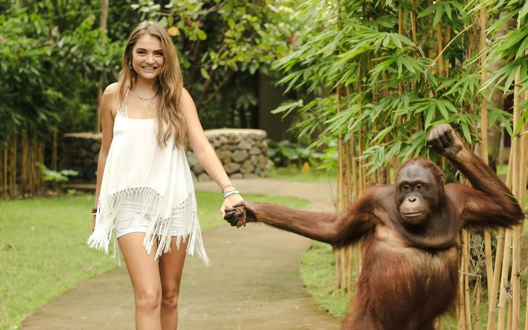 Lombok Wildlife Park Tickets with Optional Lunch Image 9