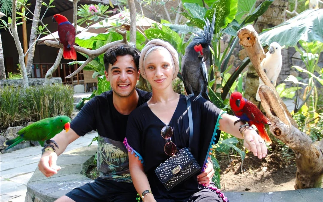 Lombok Wildlife Park Tickets with Orangutan Interaction & Elephant Bath Fun Image 8