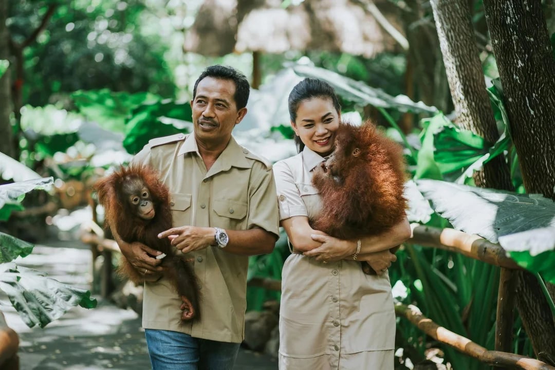 Lombok Wildlife Park Tickets with Orangutan Interaction Image 1
