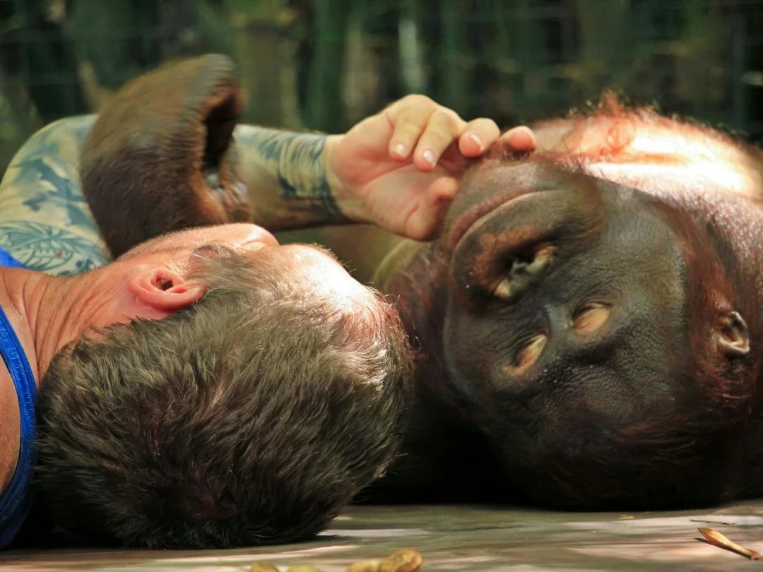 Lombok Wildlife Park Tickets with Orangutan Interaction Image 7