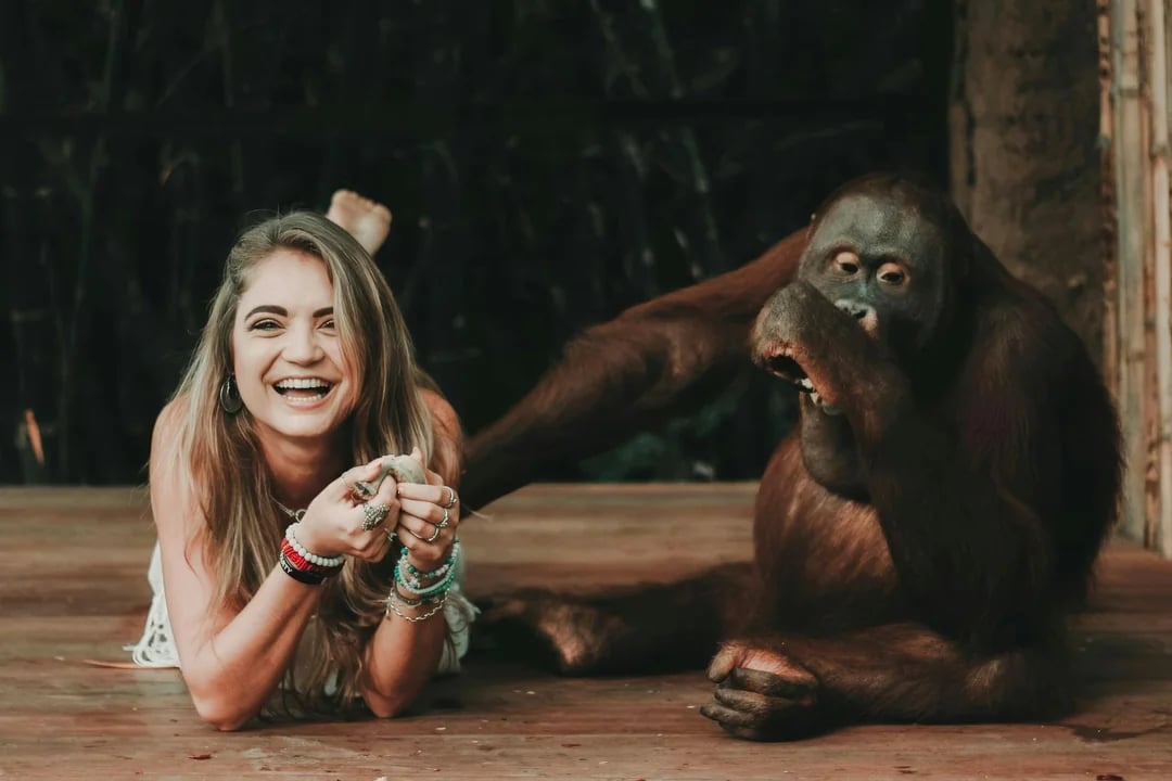 Lombok Wildlife Park Tickets with Orangutan Interaction Image 8
