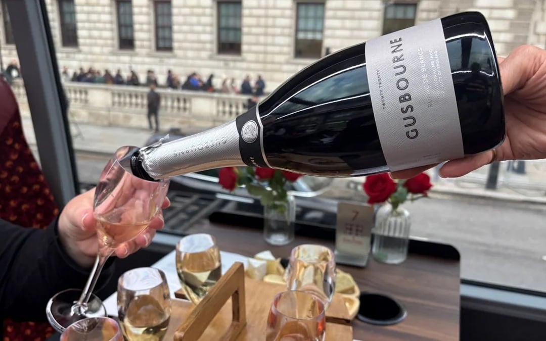 London Sightseeing Tour with Gusbourne Sparkling Wine Tastin Image 3