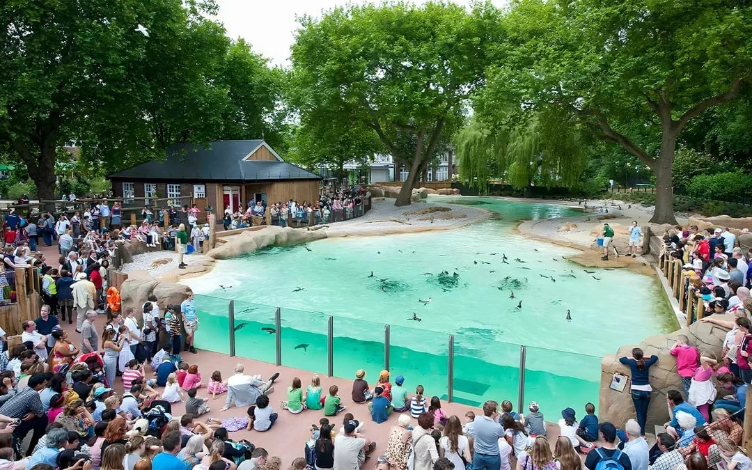 London Zoo Entrance Tickets
Image 1