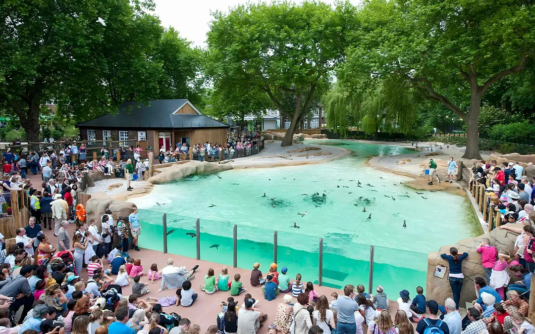 London Zoo Entrance Tickets
Image 1