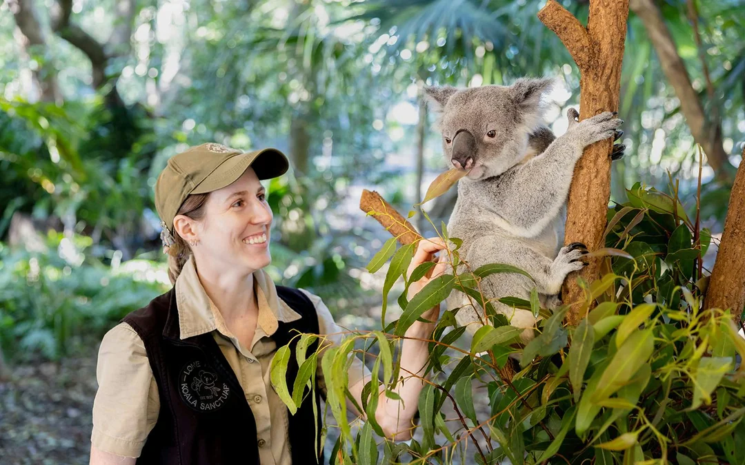 Lone Pine Koala Sanctuary Tickets Image 4