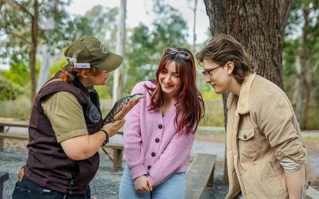 Lone Pine Koala Sanctuary Tickets Image 6
