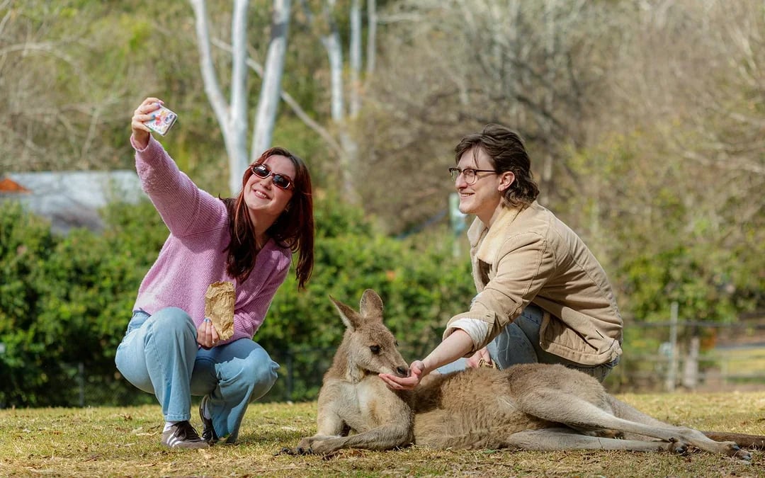 Lone Pine Koala Sanctuary Tickets Image 8
