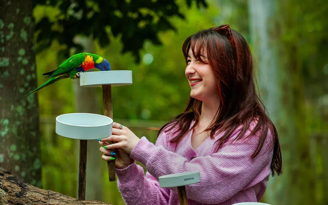Lone Pine Koala Sanctuary Tickets Image 9