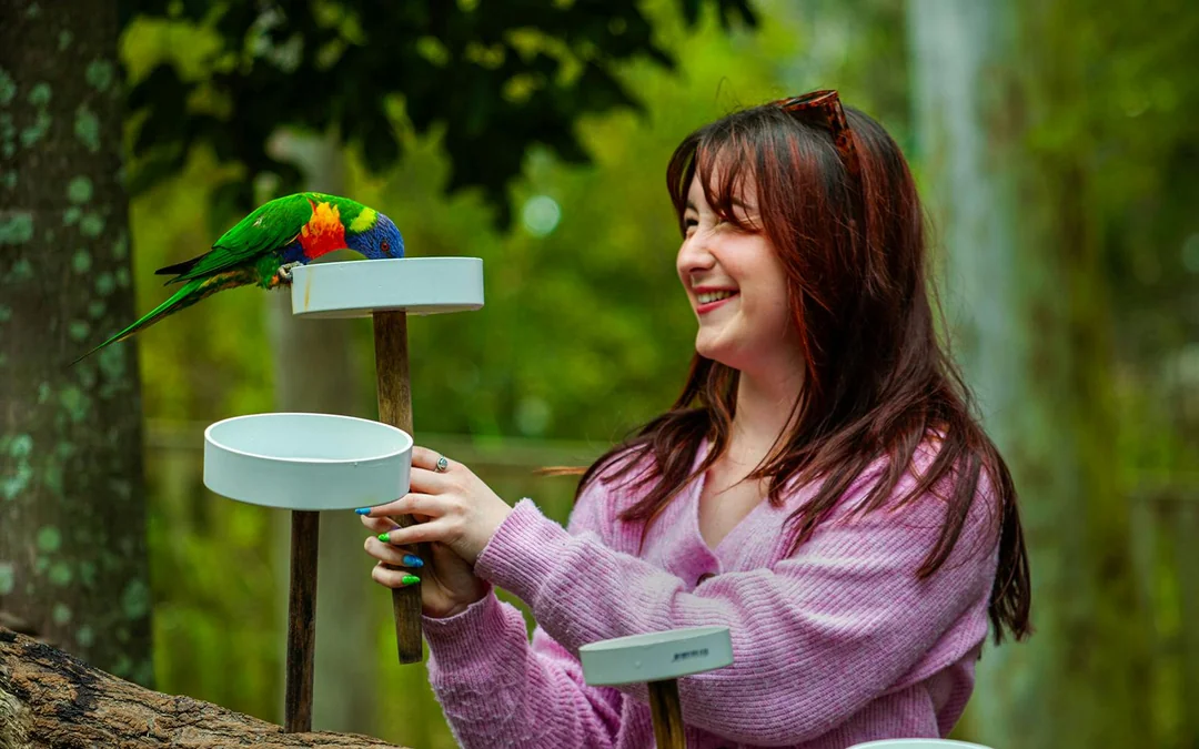Lone Pine Koala Sanctuary Tickets Image 9