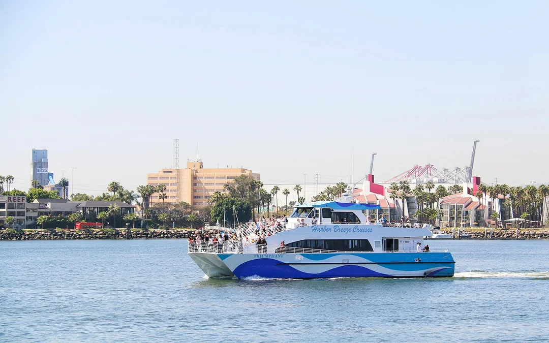 Long Beach Whale Watching and Dolphin Tour Image 1