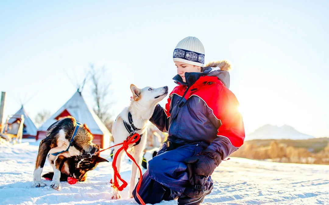 Long Self-Driven Husky Sleigh Ride Image 3