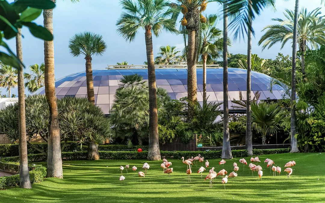 Loro Parque Entry Tickets Image 3