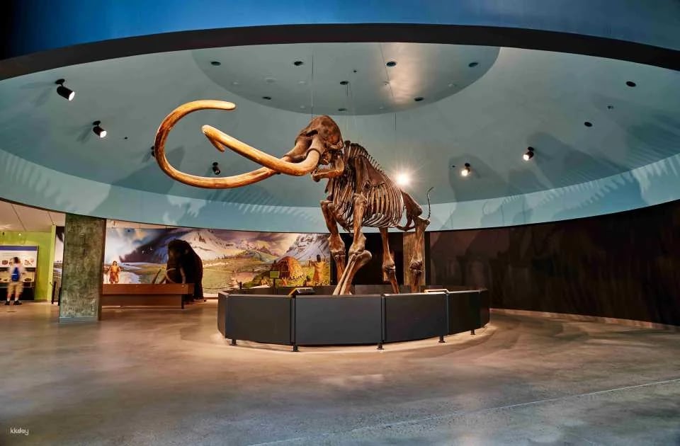 Los Angeles CityPASS®: Warner Bros. Studio Tour + 3 Attractions | United States