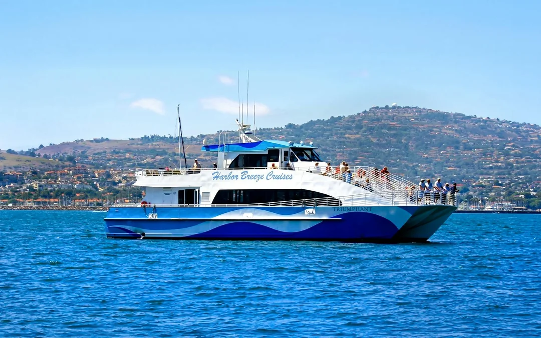 Los Angeles Whale Watching & Dolphin Tour Image 2