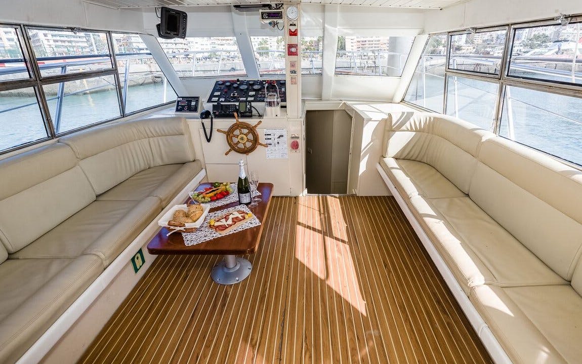 Los Cristianos: 3-Hour Whale & Dolphin Watching Shared Yacht Image 4
