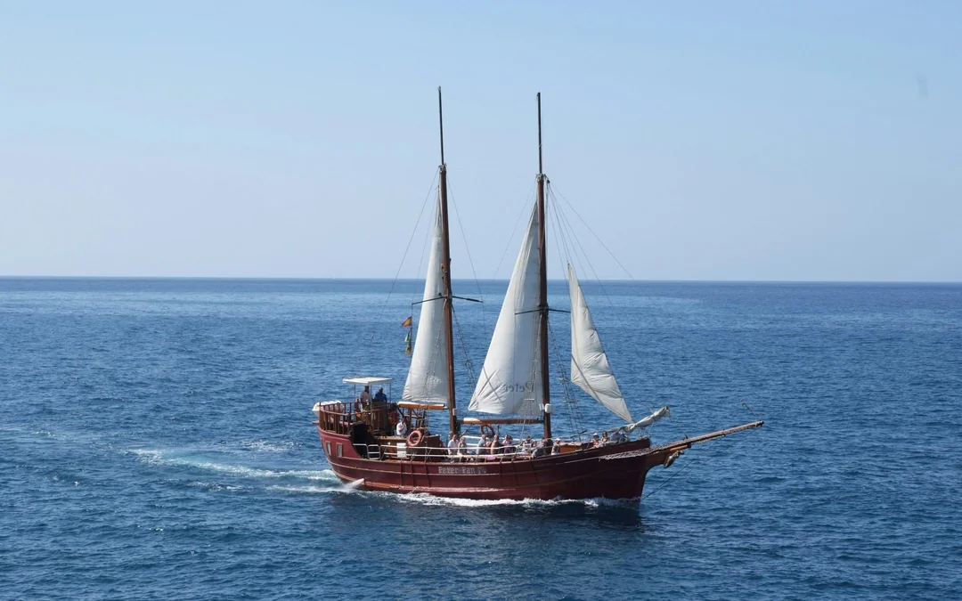 Los Cristianos: Whale and Dolphin Watching Cruise with Optional Pirate Themed Boat Image 12