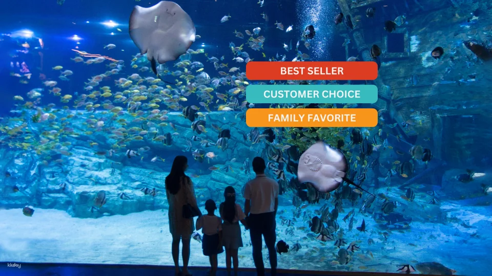 [SPECIAL PROMOTION] Lotte World Aquarium | Hanoi